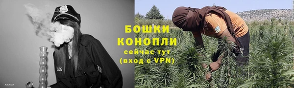 спиды Новозыбков