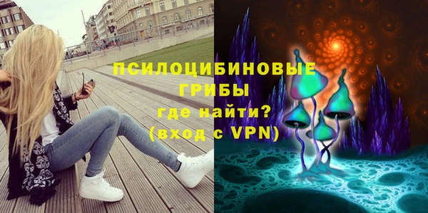 дживик Новодвинск