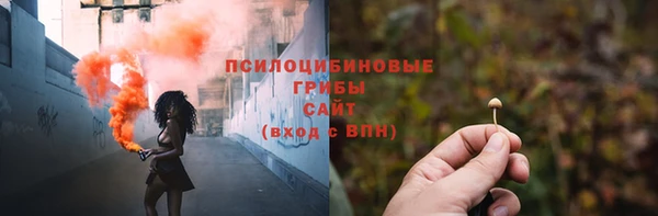 дживик Новодвинск