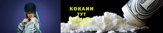 СК Новокубанск