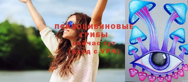 СК Новокубанск