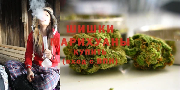 дживик Новодвинск