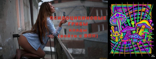 спиды Новозыбков
