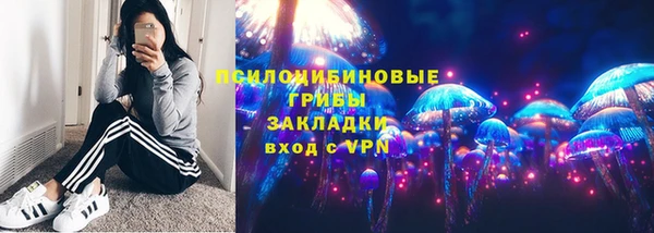 дживик Новодвинск