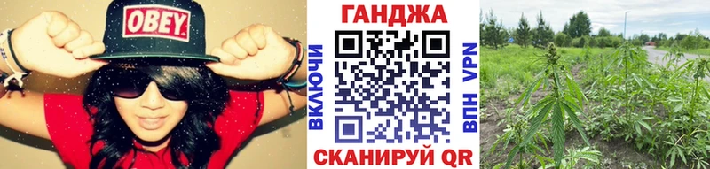 цены наркотик  Осташков  Конопля конопля 